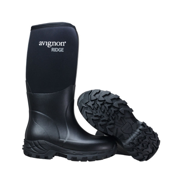 Avignon Ridge High - Image 2