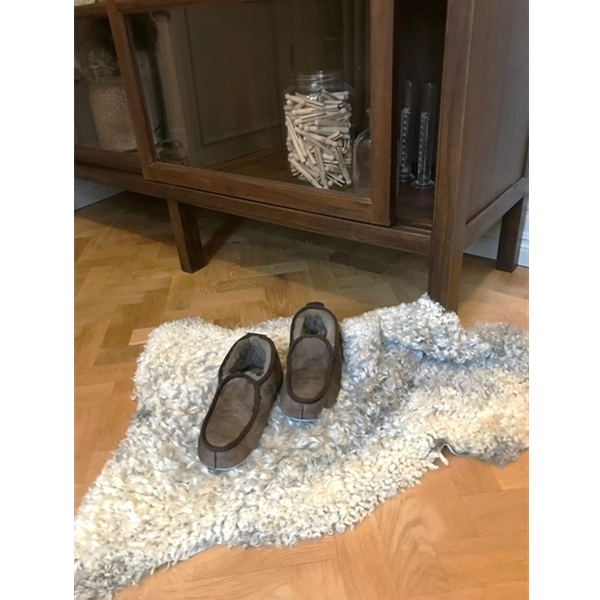 Shepherd Malte - Image 2