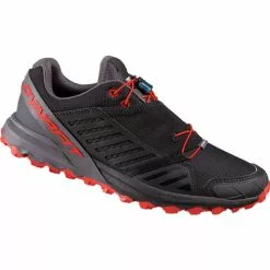 Dynafit Alpine Pro Black
