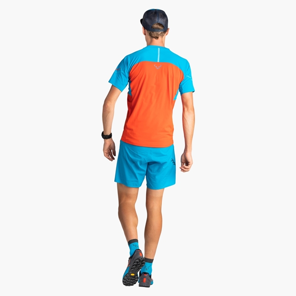 Dynafit Alpine - Image 3