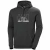 Helly Hansen Nord Graphic Pull Over Hoodie
