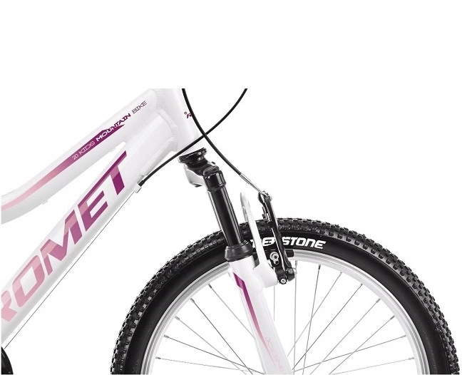 Arkus&Romet Bicycle For Children Arkus & Romet Jolene 20″ KID 2 LTD, 4-6 Years Old - Image 3