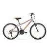 Arkus&Romet Children’s Bike Arkus & Romet Rambler 24, 8-12 Years, 24 Inches