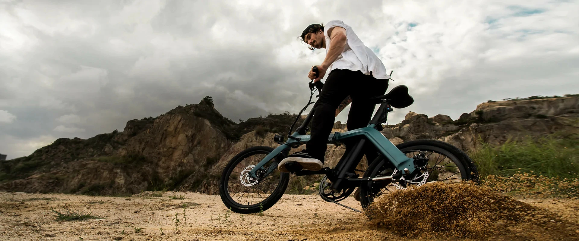 Electric Bicycle Fiido D11 (36 V / 11,6 Ah), Foldable - Image 13