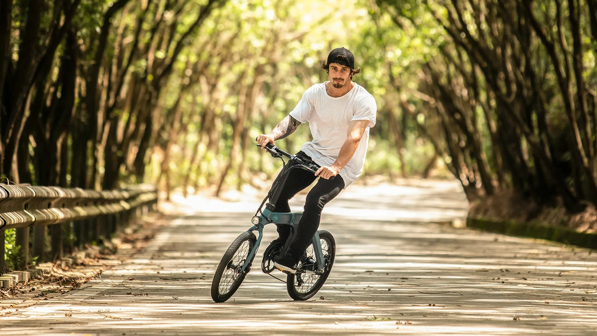 Electric Bicycle Fiido D11 (36 V / 11,6 Ah), Foldable - Image 10