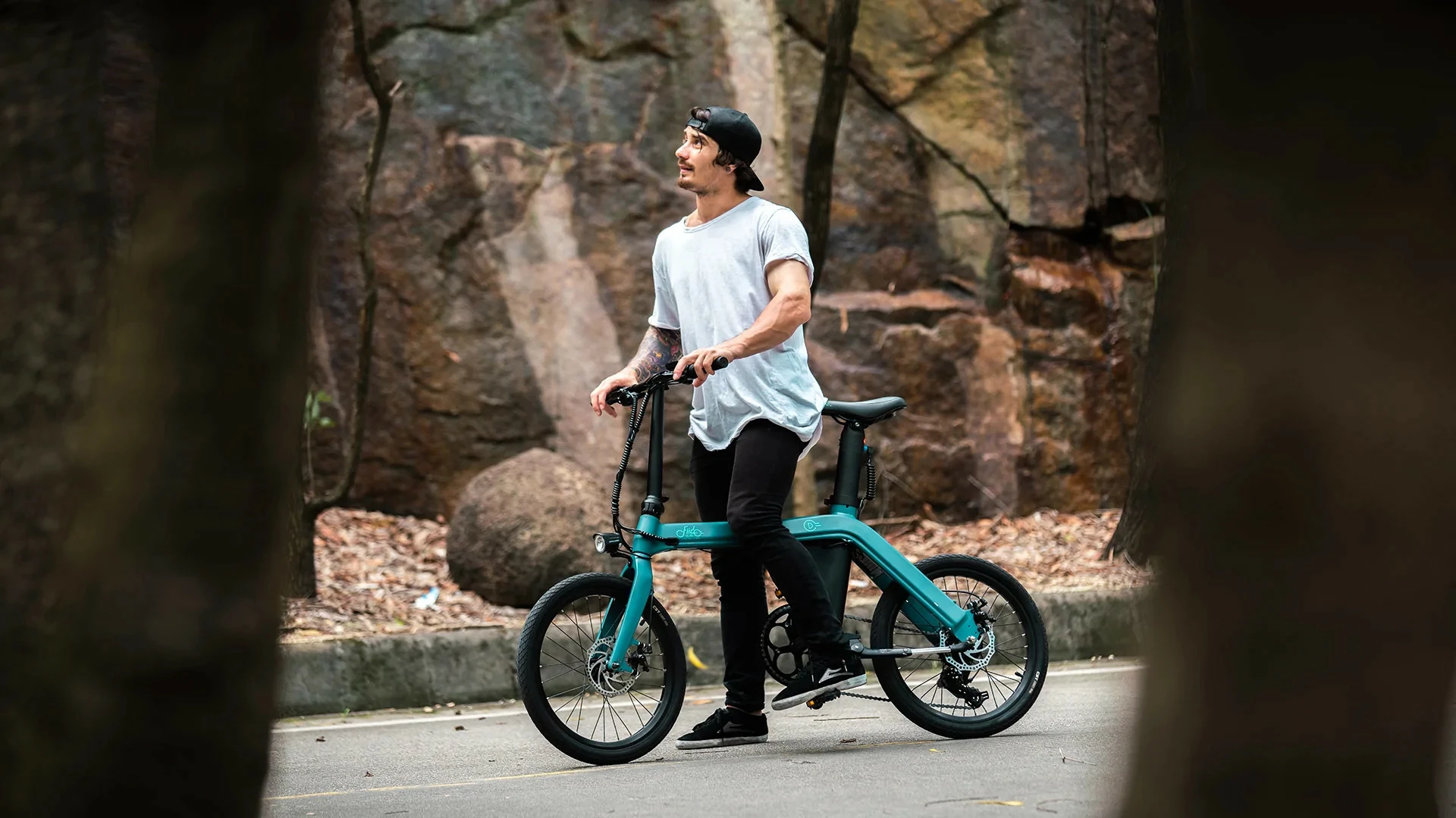 Electric Bicycle Fiido D11 (36 V / 11,6 Ah), Foldable - Image 9