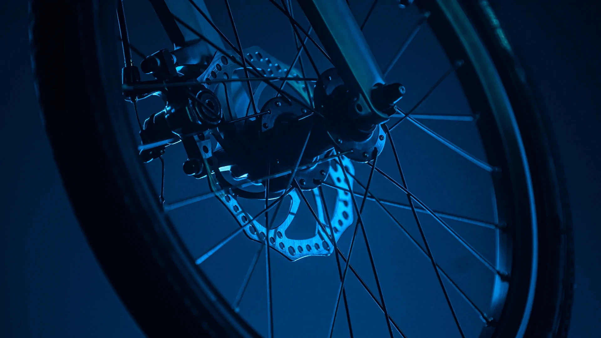 Electric Bicycle Fiido D11 (36 V / 11,6 Ah), Foldable - Image 14