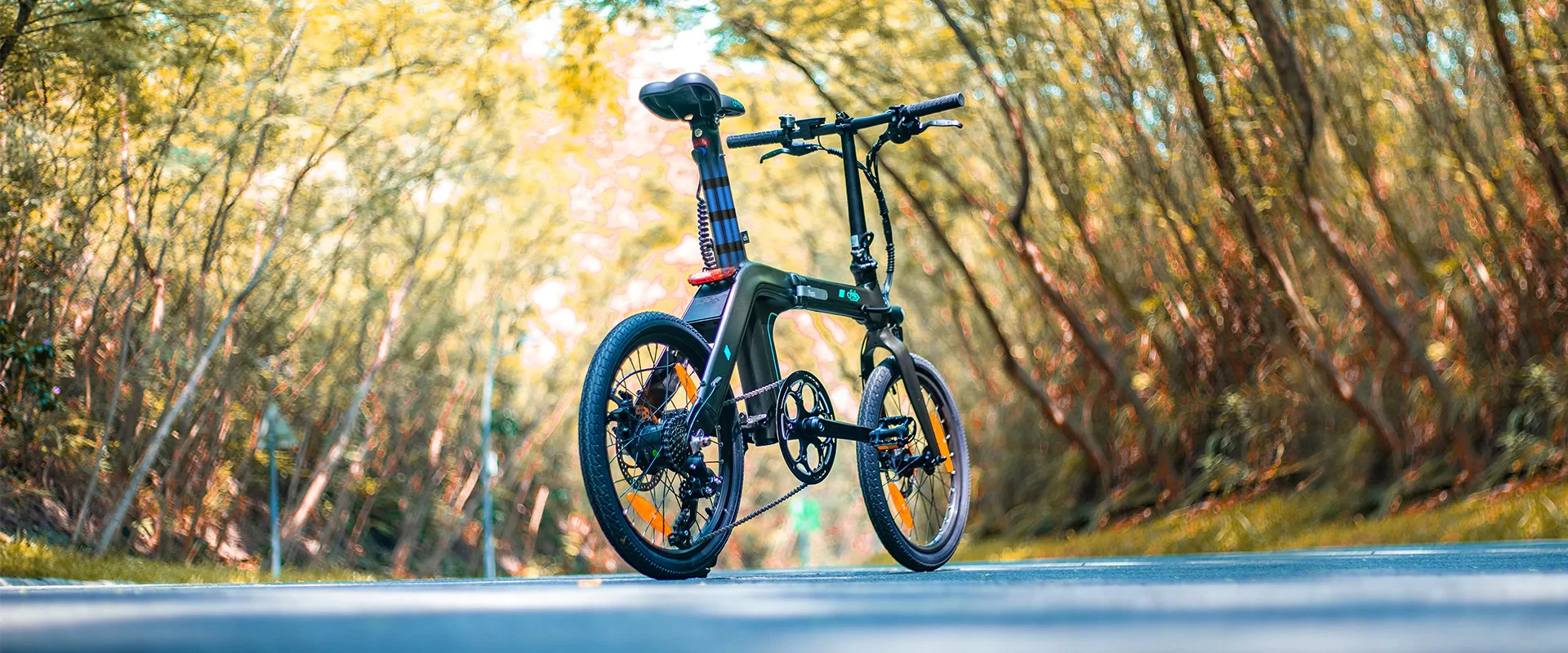 Electric Bicycle Fiido D21 (36 V / 11,6 Ah), Foldable - Image 11