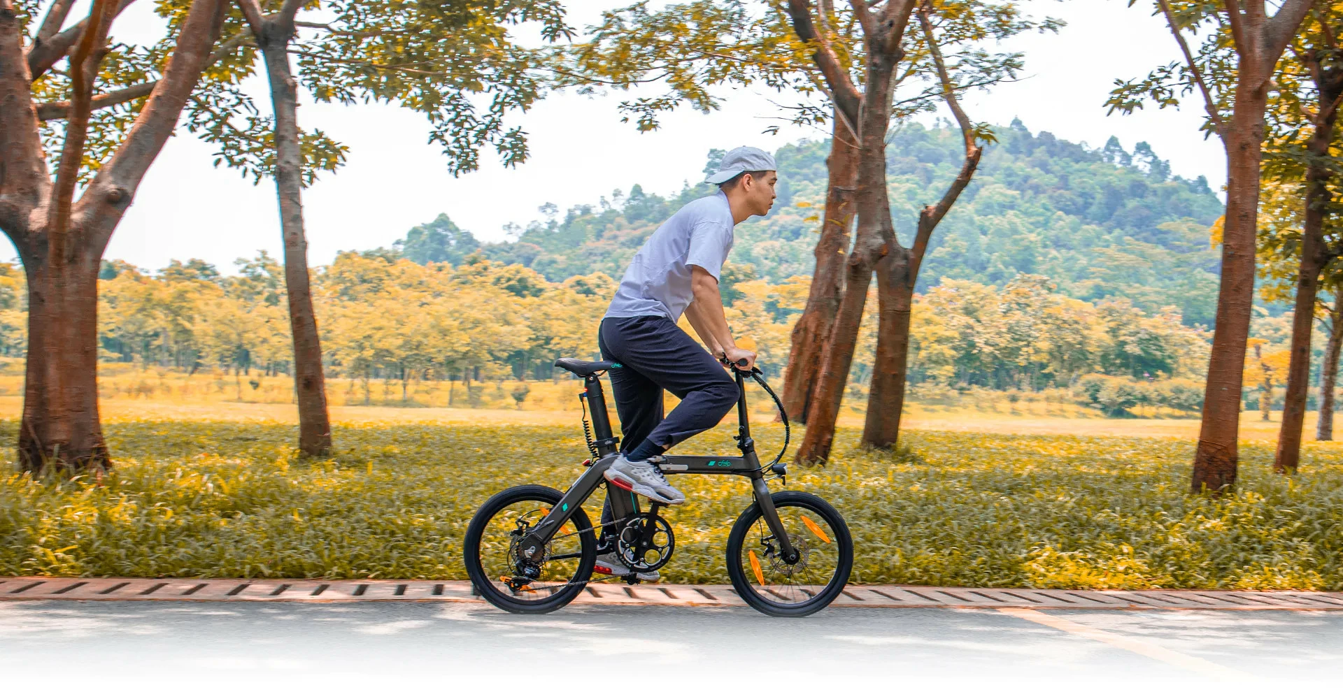 Electric Bicycle Fiido D21 (36 V / 11,6 Ah), Foldable - Image 10