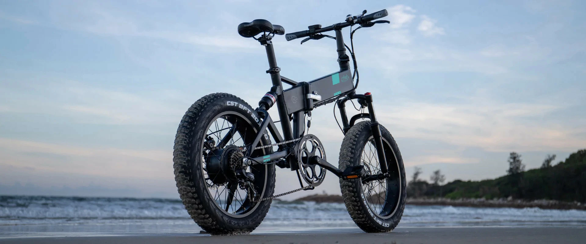 Electric Bicycle Fiido M21 (48 V / 11,6 Ah), Foldable - Image 8