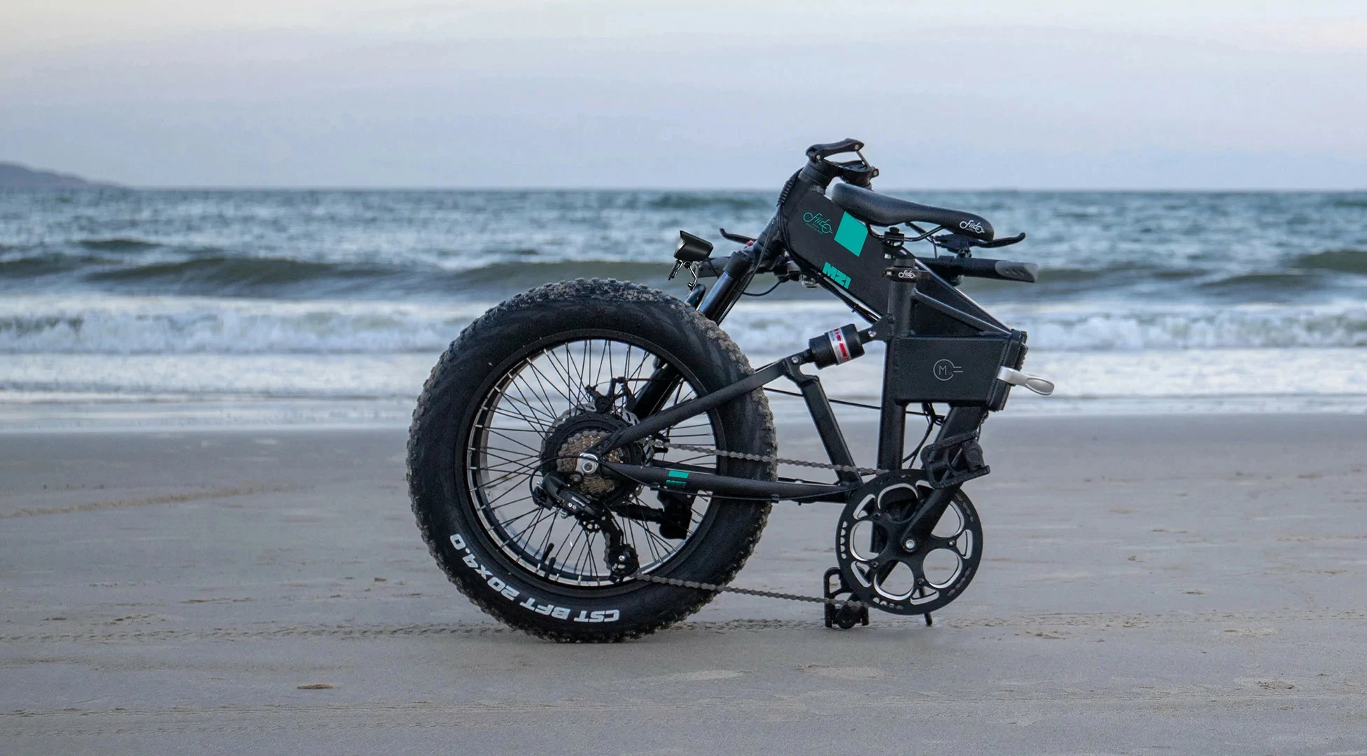 Electric Bicycle Fiido M21 (48 V / 11,6 Ah), Foldable - Image 7