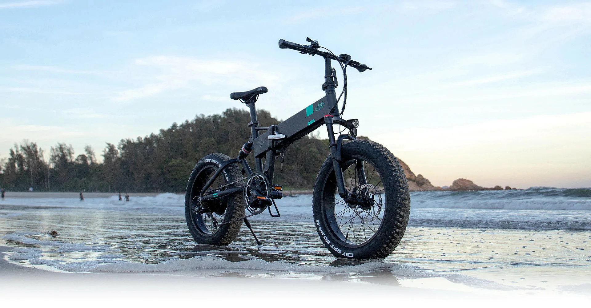 Electric Bicycle Fiido M21 (48 V / 11,6 Ah), Foldable - Image 13