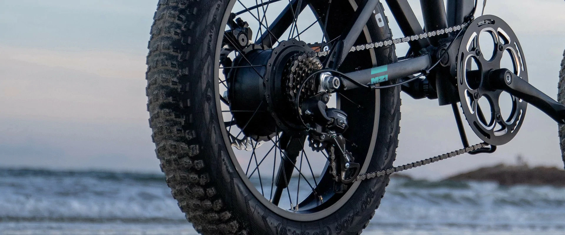 Electric Bicycle Fiido M21 (48 V / 11,6 Ah), Foldable - Image 11