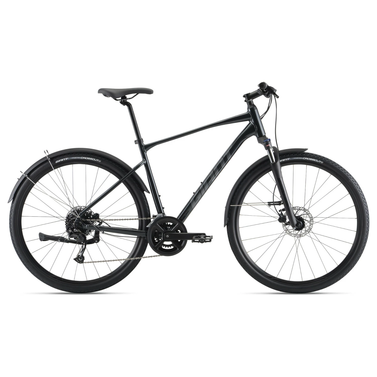 Bicycles Giant Roam EX, Charcoal