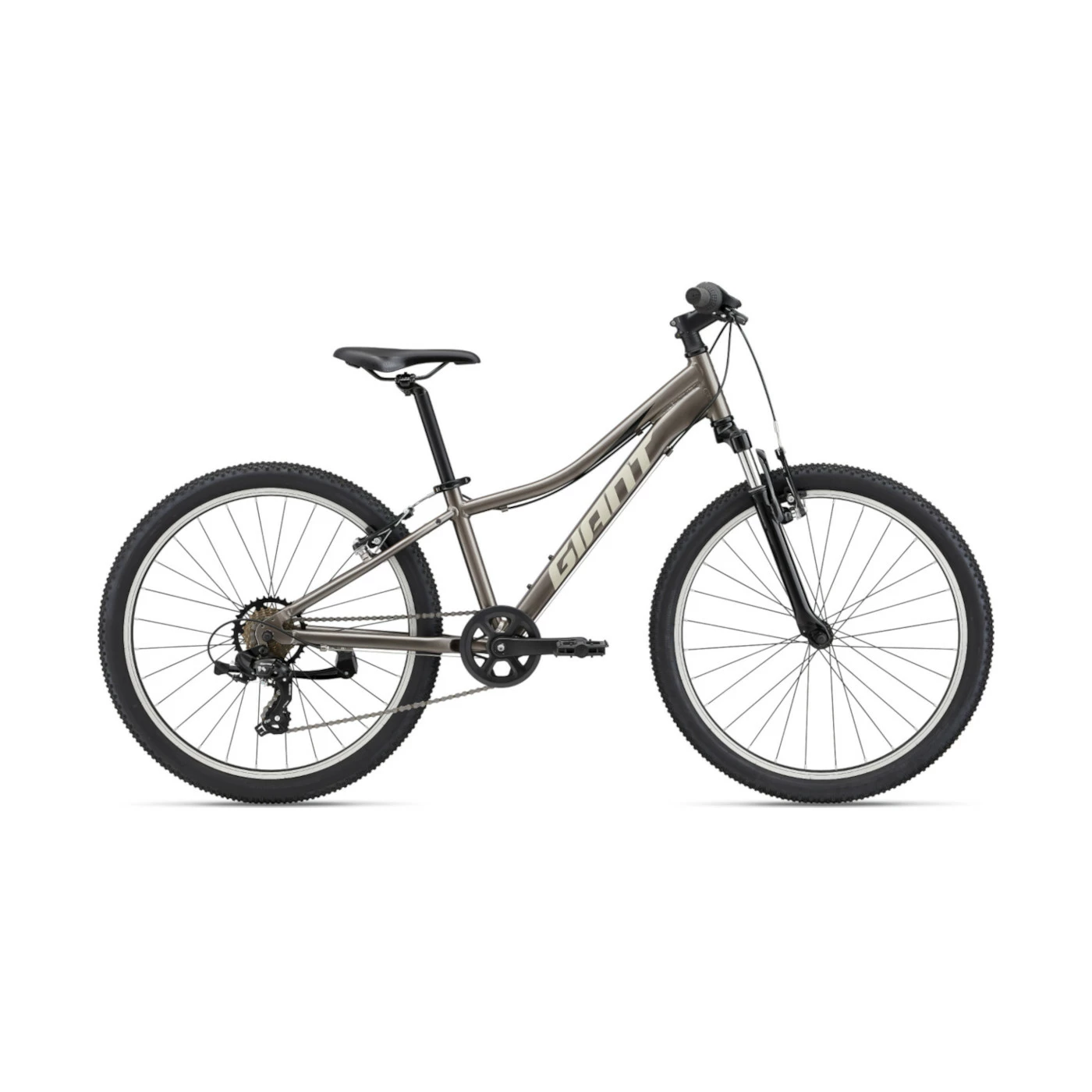 Children’s Bike Giant XTC Jr 24″, Metal