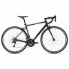 Bicycle Giant Contend 1, Rosewood