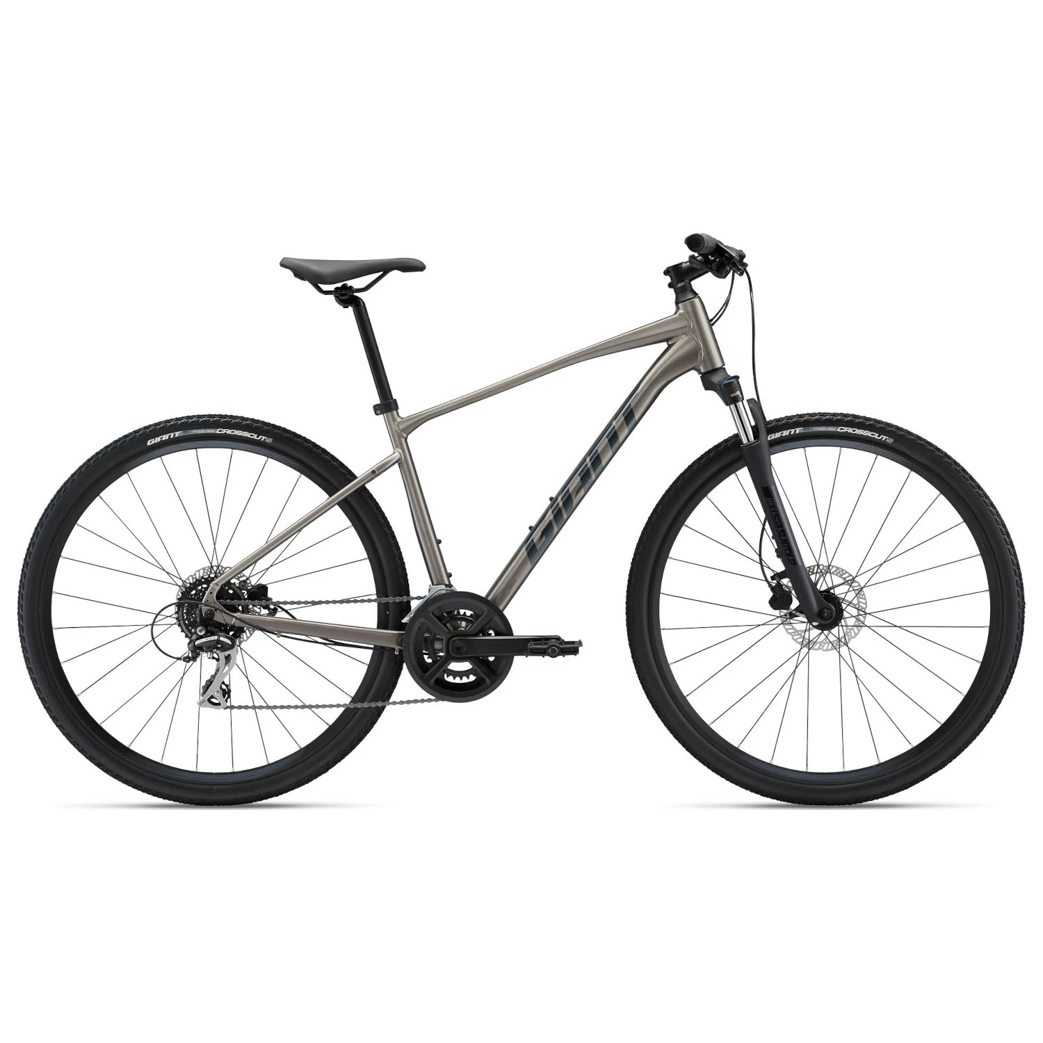 Bicycles Giant Roam 3 Disc, Metal