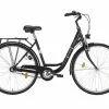 Bicycle Excelsior Road Cruiser, 28-inch, Black, M Size